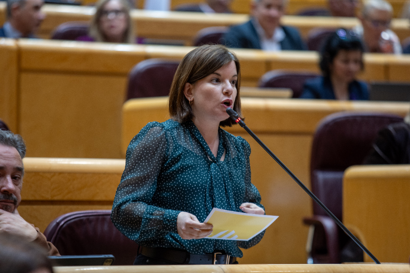  Sara Bailac al ple del Senat 
