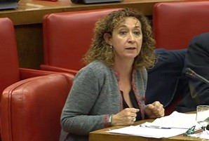   Capella: 'No comptin amb Esquerra Republicana per reformar la Constitució; fa temps que no estem en aquesta línia'  