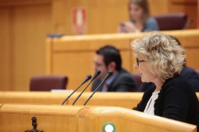   Cortès: 'La LOMCE és un episodi més en la història de la persecució del català'  