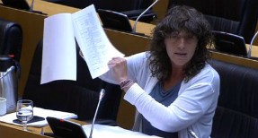   El Congrés aprova la proposta d’Esquerra per executar les inversions pendents a Rodalies  
