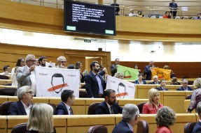   Esquerra denuncia al Senat que “enfront de la democràcia, l'Estat respon amb repressió i violació dels drets fonamentals'  