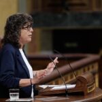 Teresa Jordà, portaveu adjunta d'Esquerra, a la tribuna del Congrés