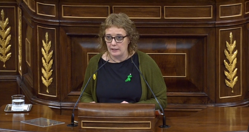  La diputada del Grup Republicà, Inés Granollers, durant la seva intervenció al Congrés. 