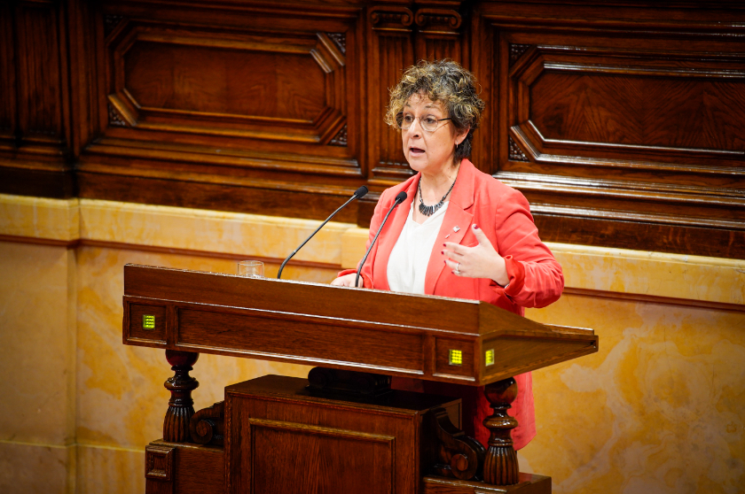  Maria Jesús Viña al Parlament. Esquerra Republicana / Marc Puig 