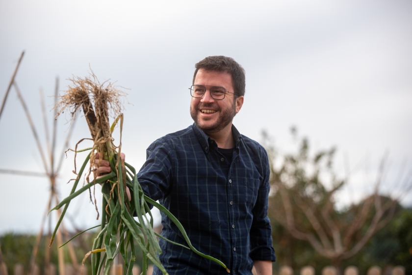  Una de les aficions de Pere Aragonès és cuidar el seu hort, a Pineda de Mar / Marc Puig 