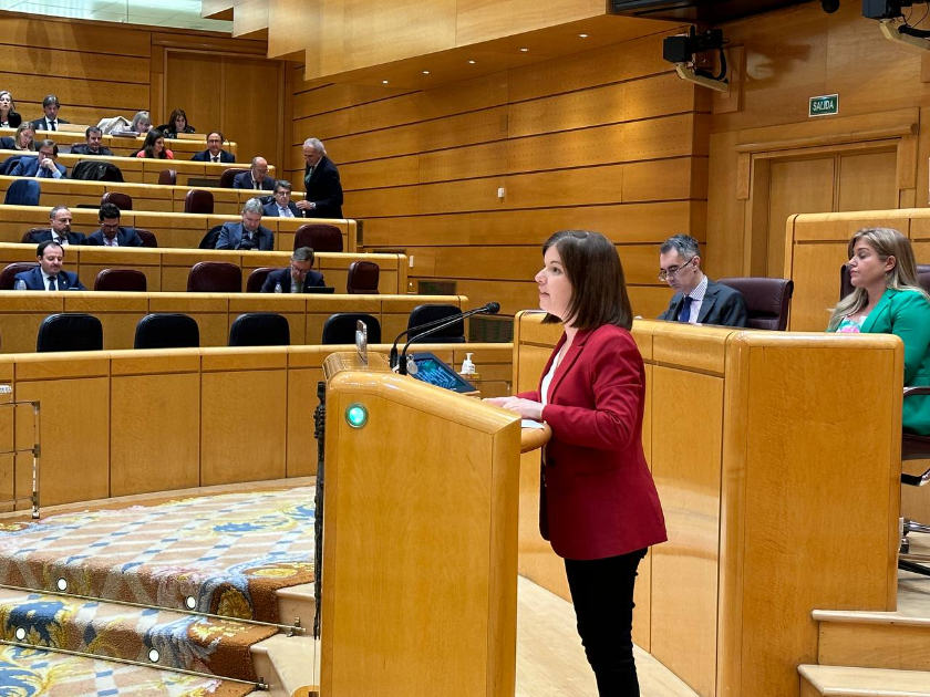  Sara Bailac al ple del Senat 