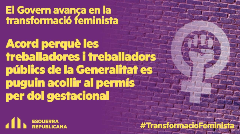   El Govern aprova el permís per dol gestacional per a treballadores i treballadors públics i eleva el pressupost de Salut en 376 milions  