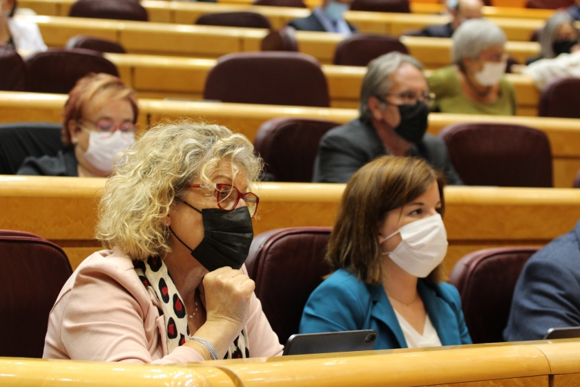  Cortès i Bailac durant un ple al Senat 