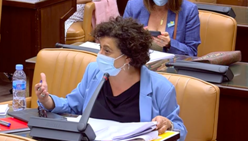  La diputada del Grup Republicà al Congrés Pilar Vallugera, durant la seva intervenció a la Comissió d'Igualtat. 