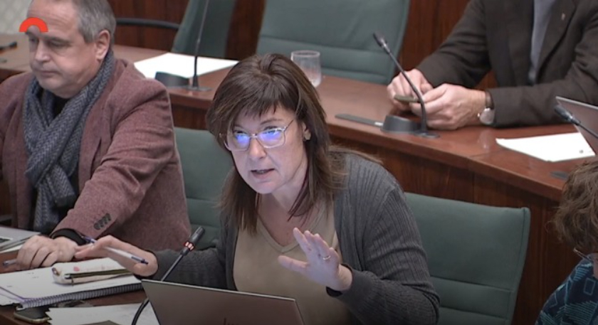 La diputada republicana Irene Aragonès ha defensat la proposta de resolució a la comissió de Cultura.
