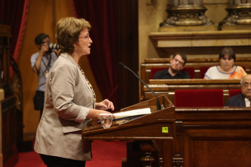 La consellera Anna Simó / Foto: Parlament de Catalunya 
