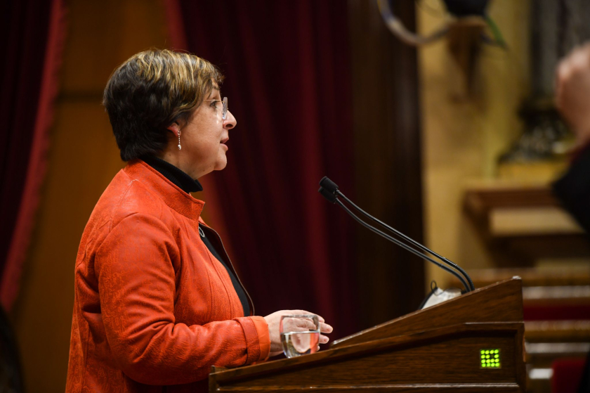  Diputada Maria Jesús Viña en una intervenció al Parlament de Catalunya 