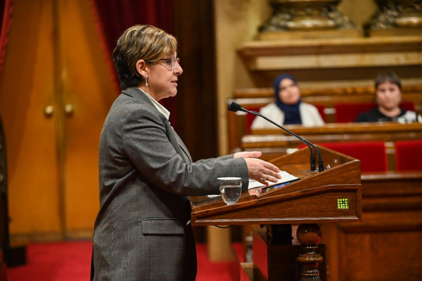  La diputada Maria Jesús Viña en la seva intervenció al Parlament de Catalunya 