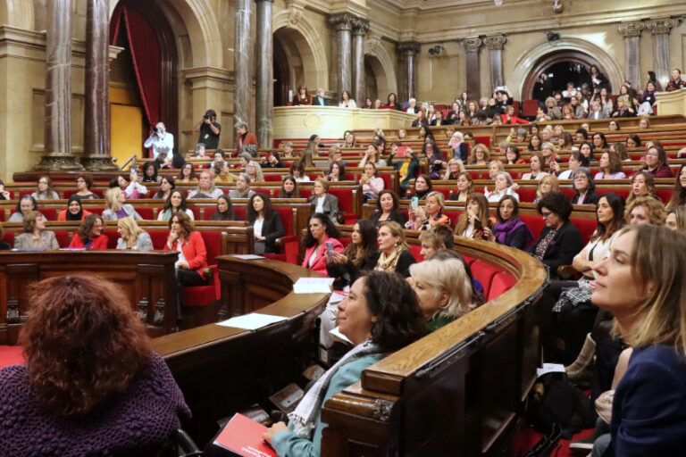 El Ple Parlament de les Dones celebrat aquest 24 de novembre / ACN