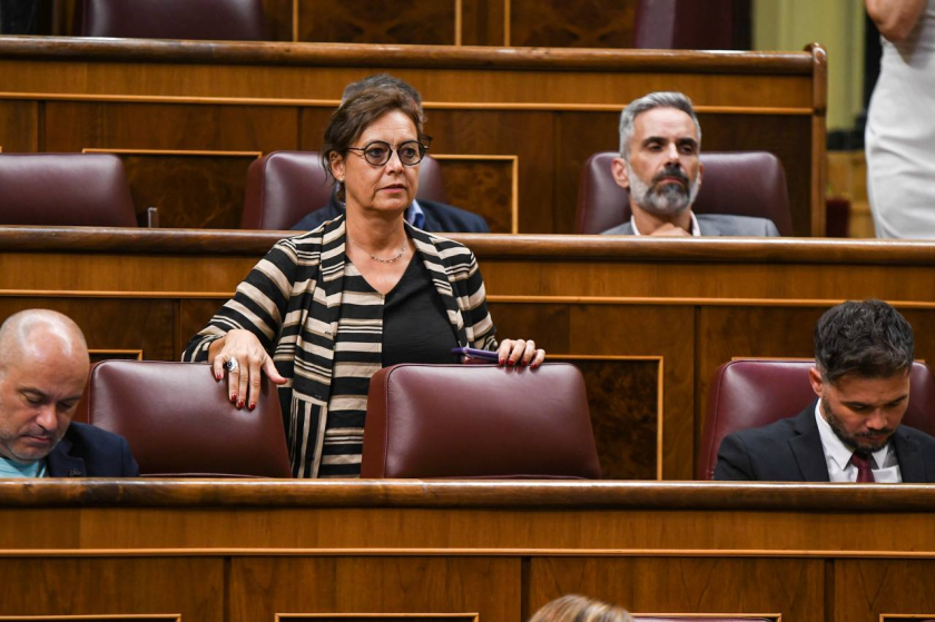  Montse Bassa, en una imatge al ple del Congrés de Diputats 