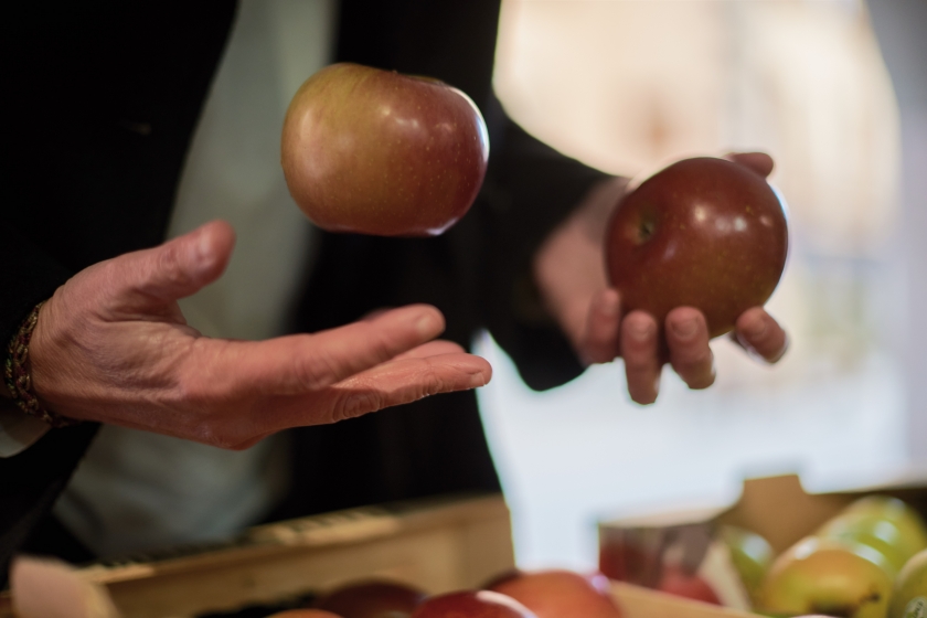  Teresa Jordà tria fruita en una visita al mercat / Marc Puig 