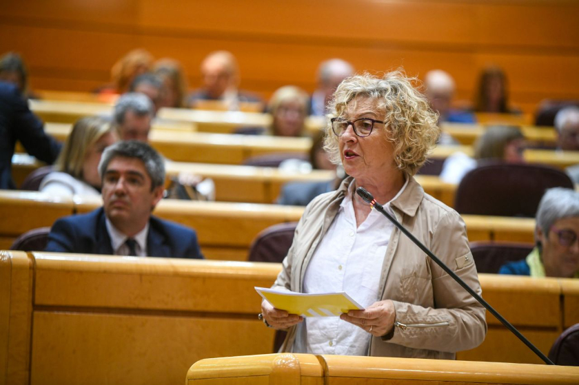  Mirella Cortès, durant una intervenció al ple del Senat 