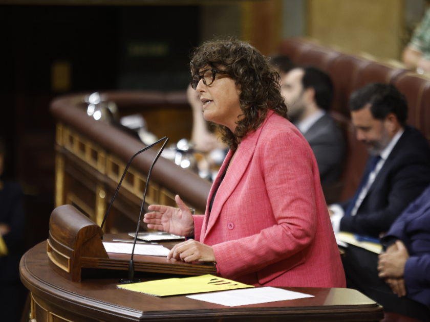  Teresa Jorda, al ple del Congrés / Congrés dels Diputats 