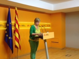   Simó: 'Del canvi de regles a mitja partida i de la deslleialtat, l'Estat en fa una norma'  