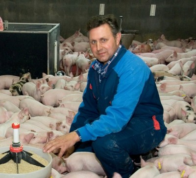   Les incoherències del Govern de Madrid afecten greument els productors de porcí  