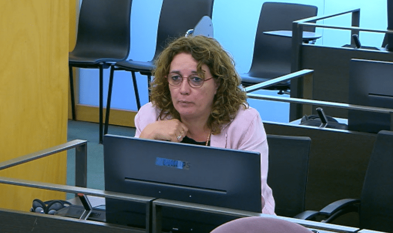 La diputada Inés Granollers a la Comissió d'Indústria