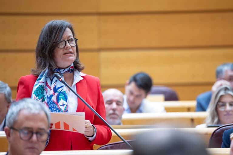 La senadora Laura Castel al ple del Senat fent una pregunta sobre Rodalies i l'accident de Gelida al ministre de transports Oscar Puente