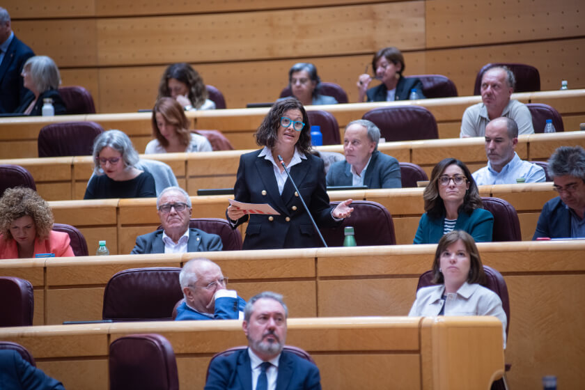 Laura Castel en la seva intervenció al Senat