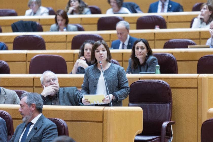  Sara Bailac al ple del Senat 