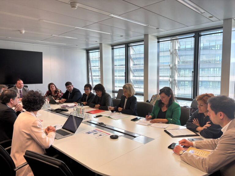 Elisenda Alamany i Diana riba, en una reunió a Brussel·les amb el grup Verds-ALE