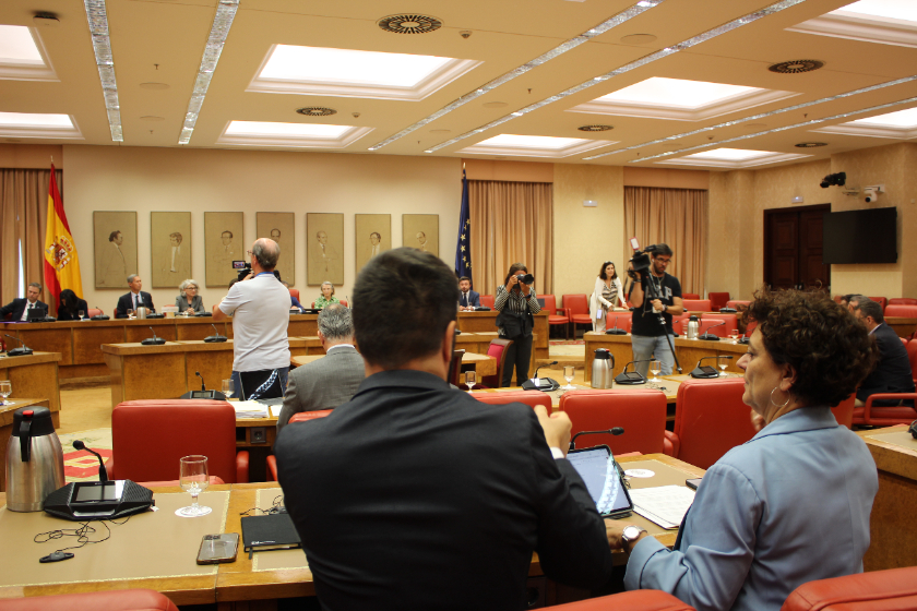  La diputada Pilar Vallugera a la reunió al Congrés amb els membres de la Comissió de Venecia 
