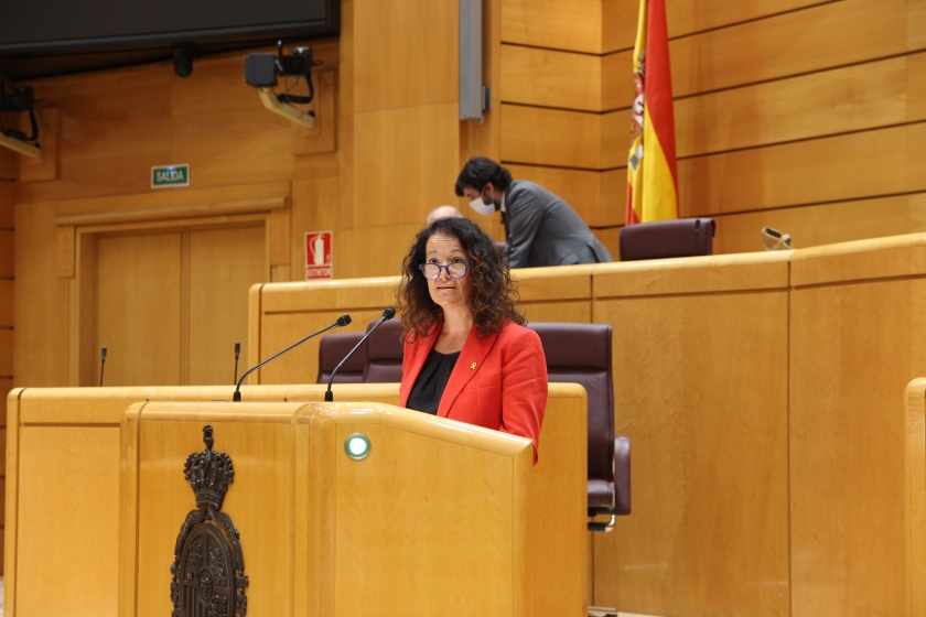  Laura Castel al ple del Senat 
