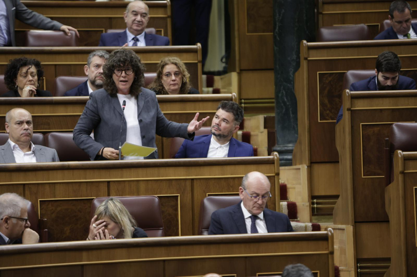 Teresa Jordà al ple del Congrés
