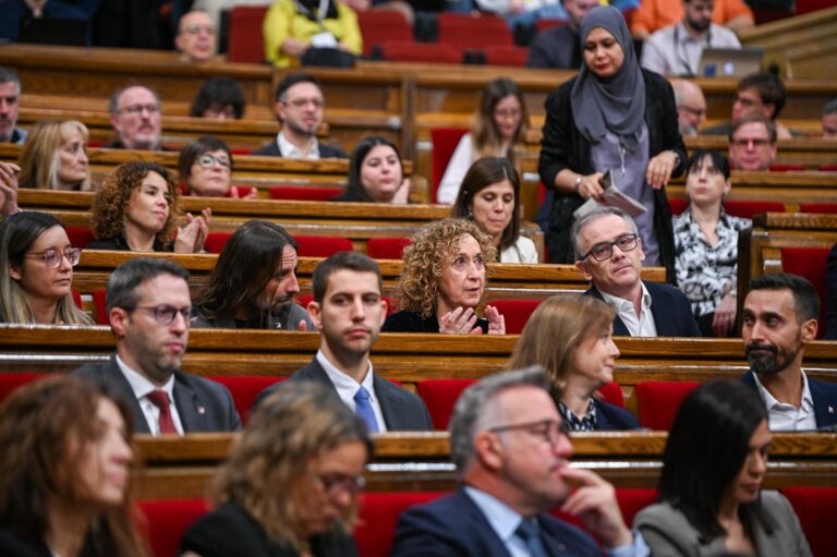 Jové ha disparat contra l'extrema dreta al Parlament, coincidint amb l'aniversari de la mort del dictador Franco.