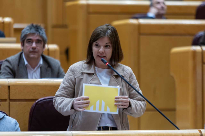  Sara Bailac al ple del Senat 