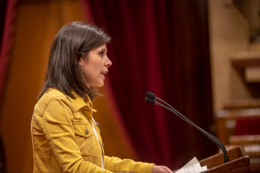   El Parlament reclama a proposta d’Esquerra que es garanteixi el vot exterior amb un procediment senzill  