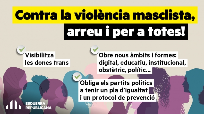   10 idees clau de la llei contra les violències masclistes  