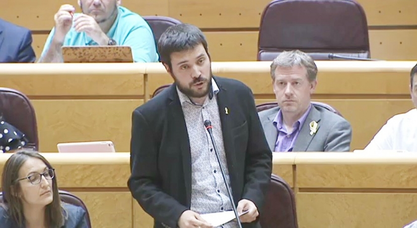  El senador Bernat Picornell, durant la sessió de control al govern a la Cambra Alta 